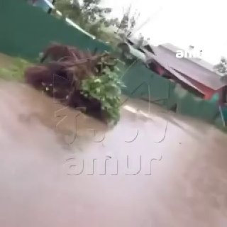 Сильные дожди затопили Спасский район Приморья